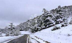 Algérie - Chutes de neige sur plusieurs wilayas de l'Ouest