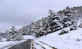 Algérie - Chutes de neige sur plusieurs wilayas de l'Ouest