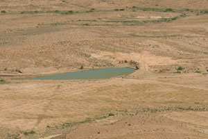 Réserve Naturelle de Mergueb