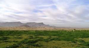 La forêt du Djebel Messaad et La Steppe
