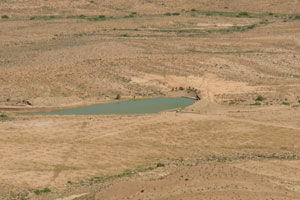 Réserve Naturelle de Mergueb