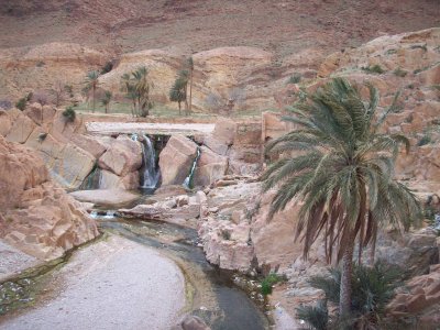 Vestige Moulin Ferrero