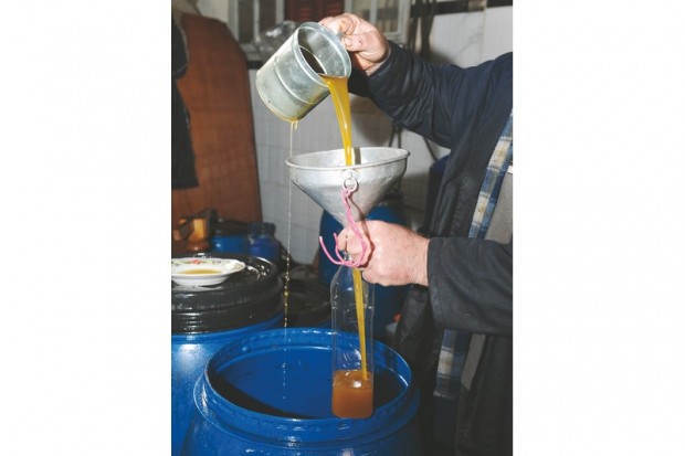 À QUELQUES JOURS DE LA CLÔTURE DE LA CAMPAGNE OLÉICOLE: Plus de 14 millions de litres d’huile d’olive collectés à Béjaïa