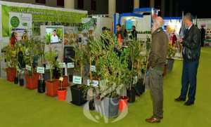 Planète - Invitation du musée agricole de Sidi Bel-Abbés en Grande Bretagne