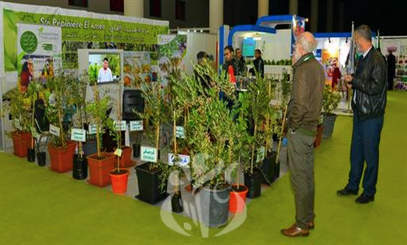 Planète - Invitation du musée agricole de Sidi Bel-Abbés en Grande Bretagne