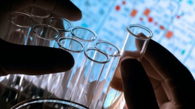 Développer les entreprises émergentes en Algérie avec l’expertise canadienne