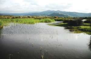 Kheïri Oued Adjoul (Jijel) - RÉSERVE NATURELLE DU LAC DE BENI BELAÏD: Le cri d’alerte de la communauté scientifique