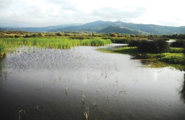 Kheïri Oued Adjoul (Jijel) - RÉSERVE NATURELLE DU LAC DE BENI BELAÏD: Le cri d’alerte de la communauté scientifique