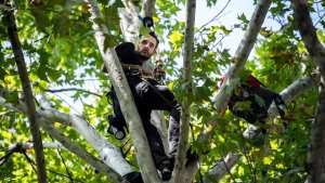 Planète - France: Thomas Brail, le militant perché qui fait avancer la cause des arbres