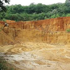 Une forêt transformée en carrière de sable à Mostaganem: Qui arrêtera le massacre '