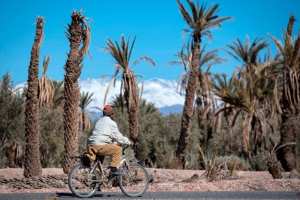 Planète (Maghreb) - À CAUSE DU DÉRÈGLEMENT CLIMATIQUE: Des oasis ancestrales menacées d'extinction au Maroc