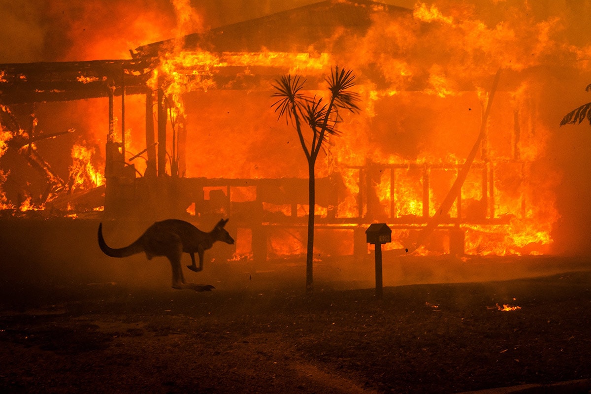 Planète - Incendies en Australie: le Premier ministre propose une enquête nationale sur la réponse à «l’été noir»