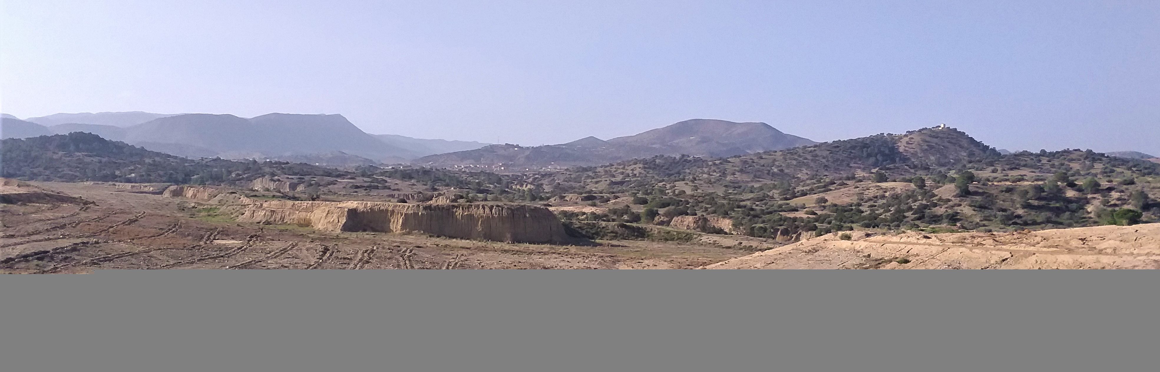 Bouira - Massacre à ciel ouvert de la forêt à Ath Mansour