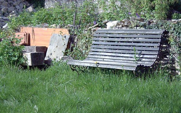 RÉHABILITATION DES ESPACES VERTS À RELIZANE: Les autorités locales de nouveau interpellées