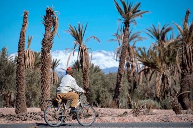 Planète (Maghreb) - À CAUSE DU DÉRÈGLEMENT CLIMATIQUE: Des oasis ancestrales menacées d'extinction au Maroc