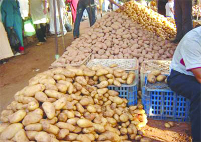 Beaucoup d'argent investi, peu d'impact sur l'économie