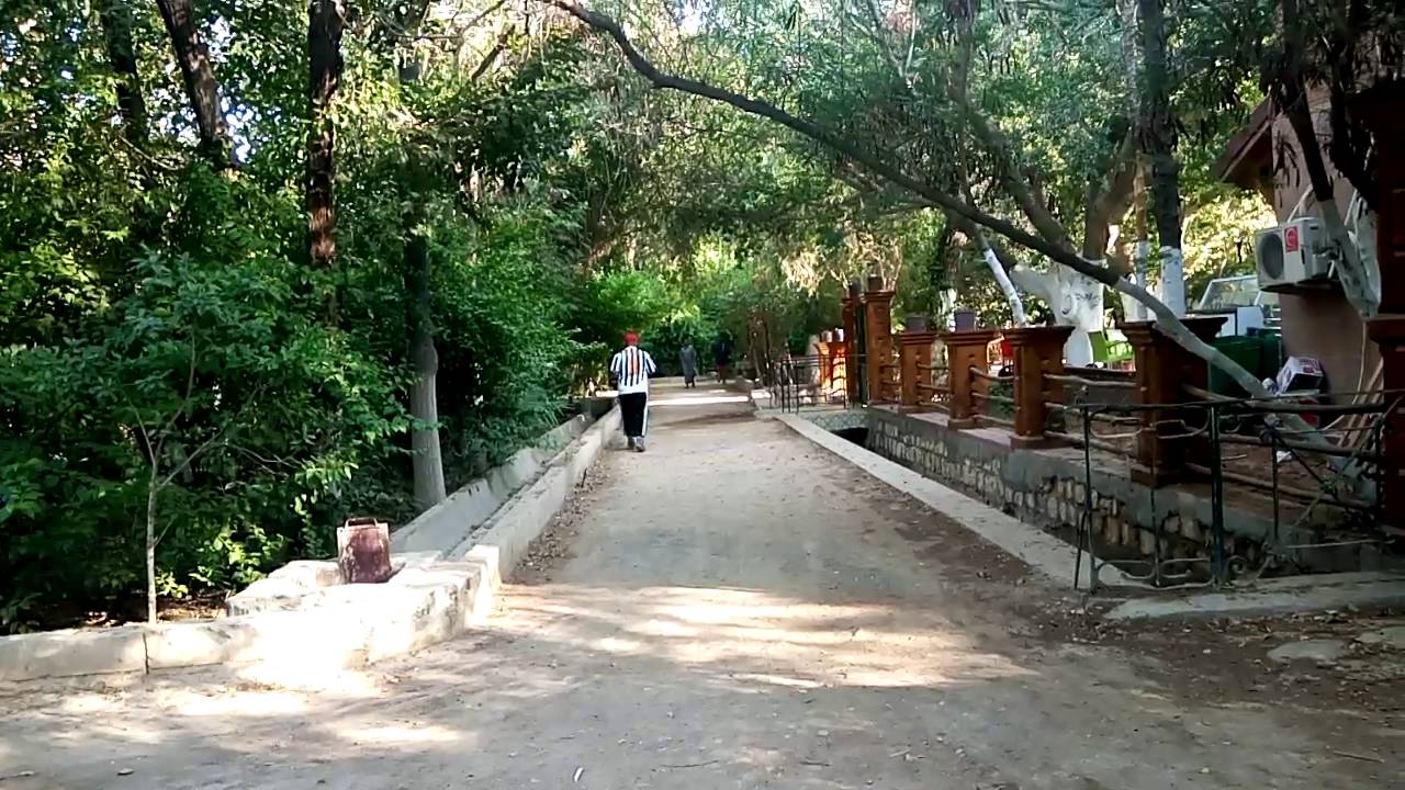 Biskra - Association Biskra la verte: Un appel pour préserver les jardins historiques