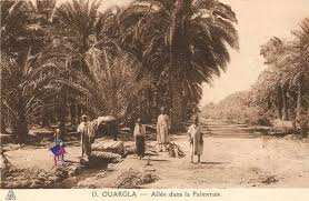 Maghreb - La préservation et amélioration de la biodiversité en milieu oasien soulignée à Ouargla