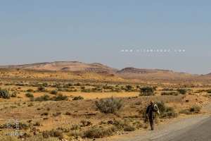 La steppe ou l'enfer du décor Livrée à la sécheresse et à la Mafia