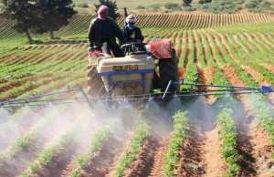 Les fermes pilotes à Jijel: 575 hectares objet de convoitise des spéculateurs