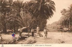 Maghreb - La préservation et amélioration de la biodiversité en milieu oasien soulignée à Ouargla