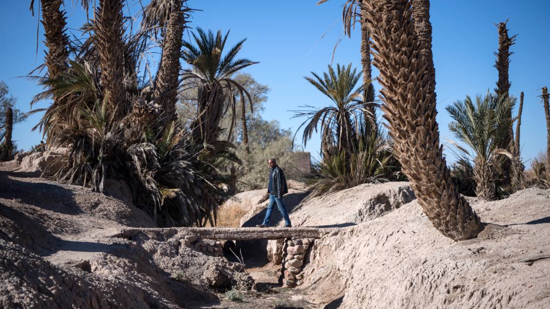 Planète - Maghreb: Le risque de sécheresse inquiète le Maroc