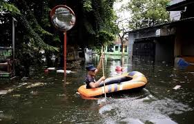 Planète - Indonésie: La future capitale menace la biodiversité de l’île de Bornéo, s’inquiètent les écologistes