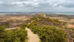 Planète - Le Royaume-Uni crée sa première 'super' réserve naturelle nationale dans le Dorset