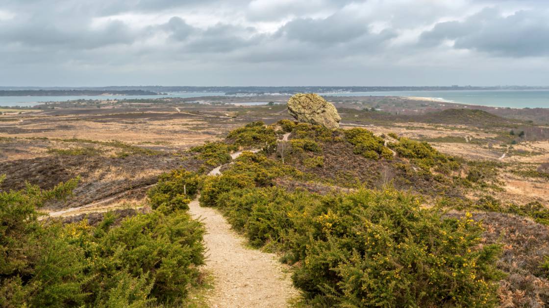 Planète - Le Royaume-Uni crée sa première 'super' réserve naturelle nationale dans le Dorset