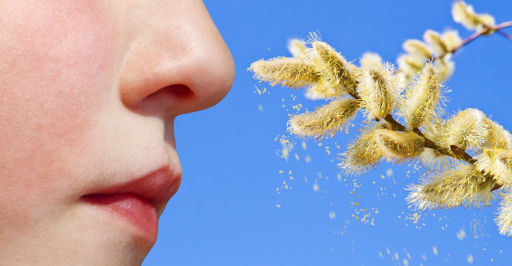 Allergie et désensibilisation, ça se passe comment ?
