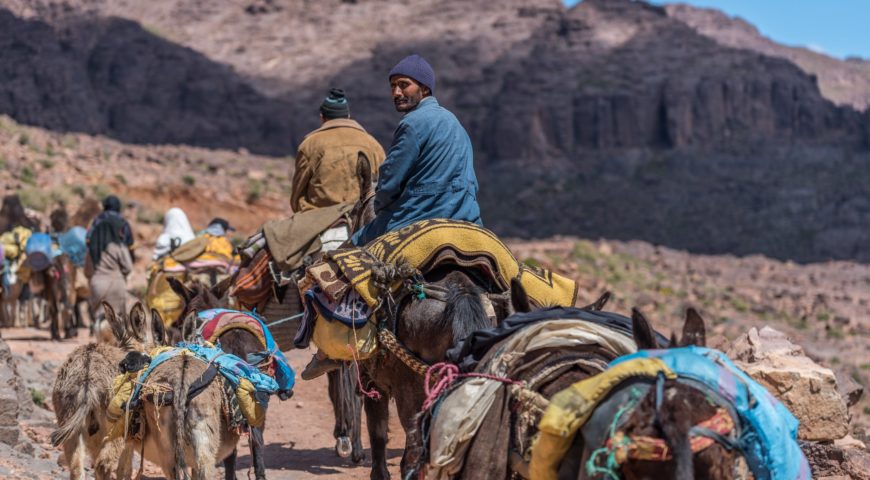 Le mythe d'origine berbère (aspects historiques et sociaux)