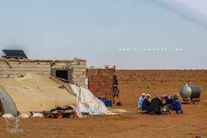 Notre reporter a enquêté à El-Bayadh Sur les traces des émirs braconniers