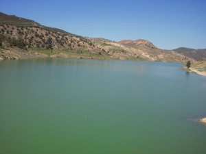 الماء هو الحياة