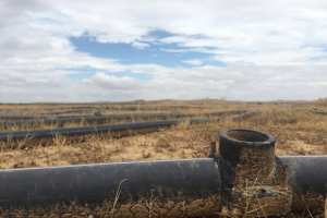 Planète (Maghreb) - En Tunisie, la colère monte des champs asséchés de Sidi Bouzid