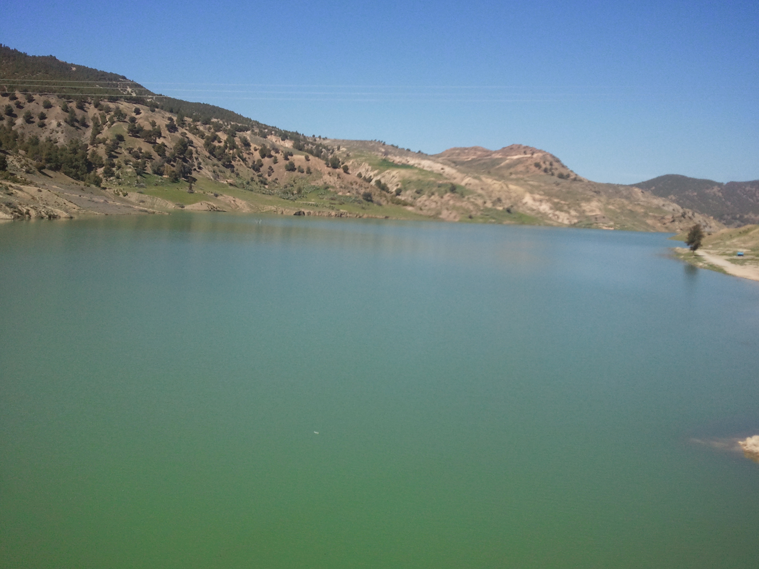 الماء هو الحياة