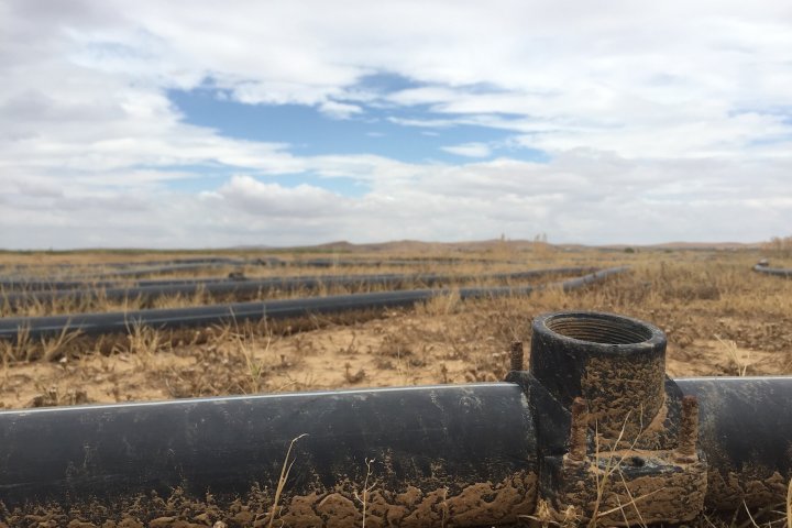 Planète (Maghreb) - En Tunisie, la colère monte des champs asséchés de Sidi Bouzid