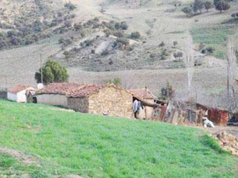 Habitat rural : 2 500 aides octroyées en un an                                    Oran : les autres articles