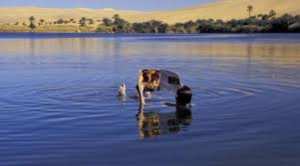 Planète (France) - Corse: Alerte à la pollution de l'air aux particules fines venues du Sahara