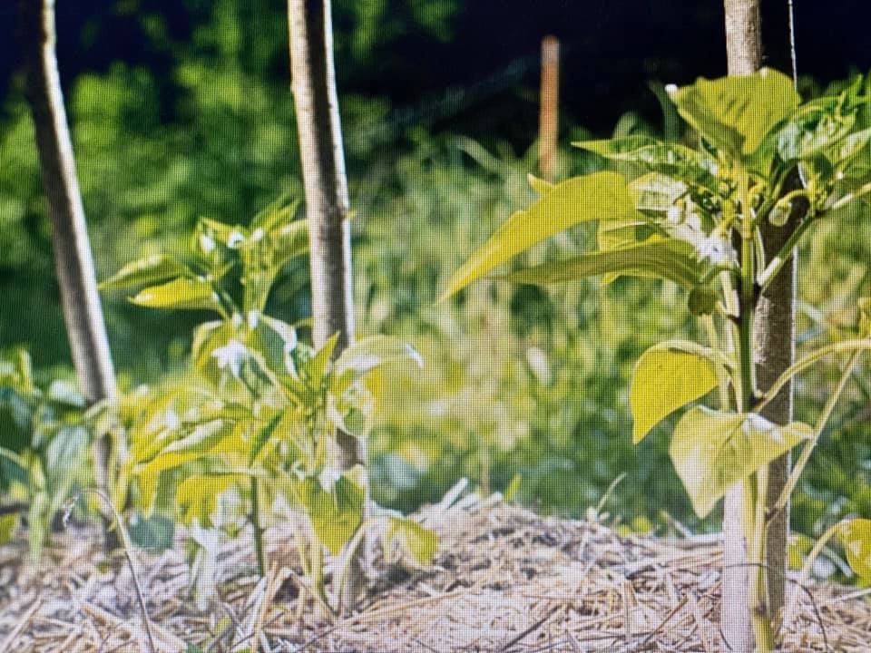 Et dire que j’ai commis ces 3 erreurs ✋ durant plus de 10 ans en croyant à ces mythes !