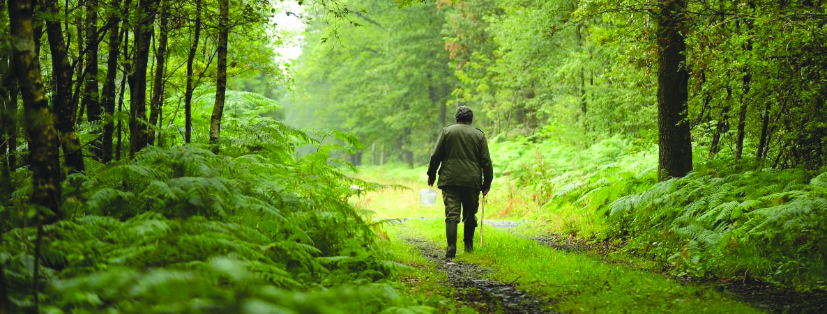 Planète - Journée de la Terre: En post-Covid, ce que la Terre… subira