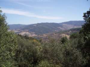 La Kroumirie ou Khroumirie (arabe : جبال خمير)