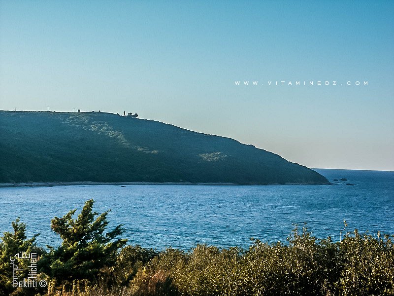 El Kala : Cap Rosa et son Phare