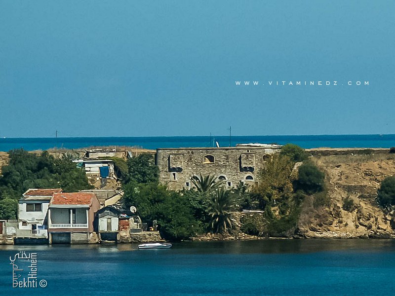 ANNABA : Le fortin de la Caroube de nouveau squatté