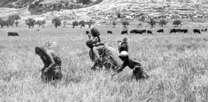 جزائريون في قرية تُليل الفلسطينية بين مآسي استعماريْن...الفرنسي والصهيوني