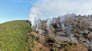 Algérie - LE PATRIMOINE SUBIT UN PILLAGE INTENSIF: Menace sur les forêts jijeliennes