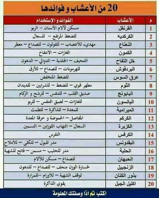 فوائد 20 عشبة