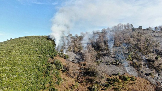 Algérie - LE PATRIMOINE SUBIT UN PILLAGE INTENSIF: Menace sur les forêts jijeliennes