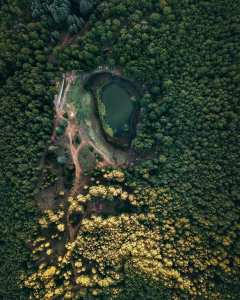 Le Lac Noir d'Akfadou, victime de sa notoriété... !