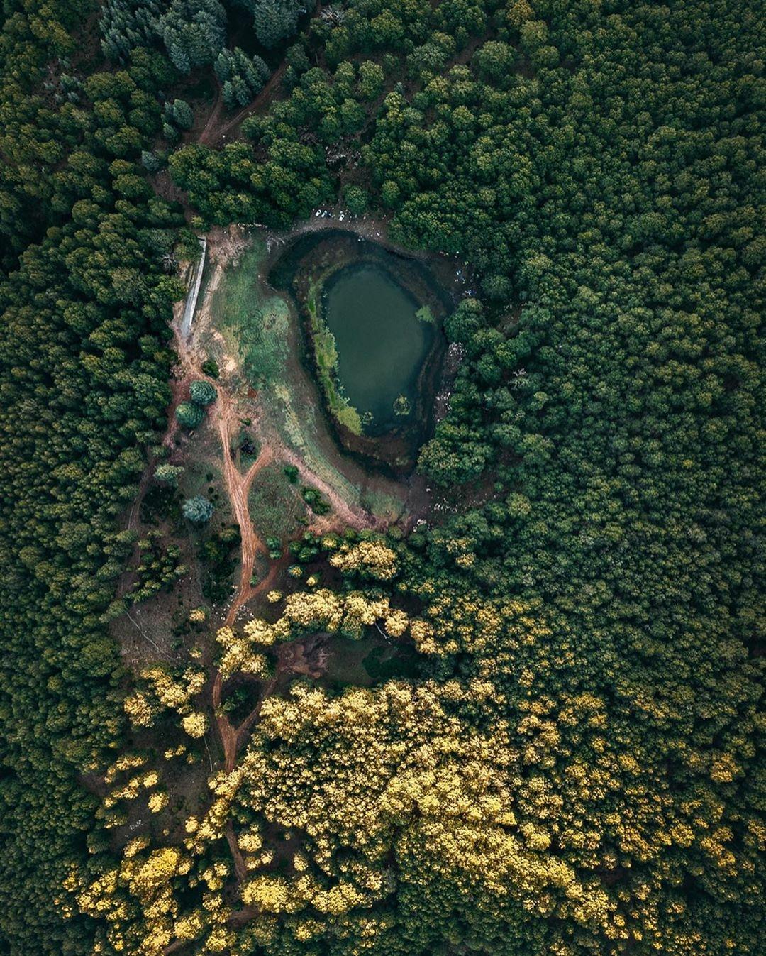 Le Lac Noir d'Akfadou, victime de sa notoriété... !