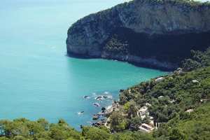 Bejaïa - ATTEINTES AU PATRIMOINE DU PARC NATIONAL DE GOURAYA: La direction dénonce un acte de “vandalisme et de sabotage”